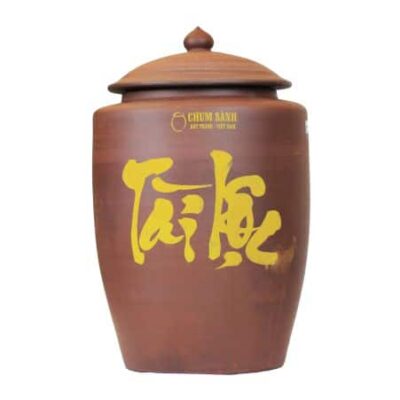 Hũ đựng gạo 20l