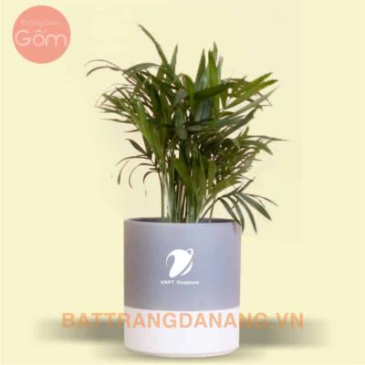 Chậu cây sứ Bát Tràng KGG03 in logo