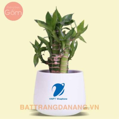 Chậu sứ Bát Tràng KGG02 in logo