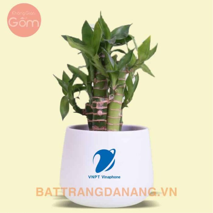Chậu sứ Bát Tràng KGG02 in logo