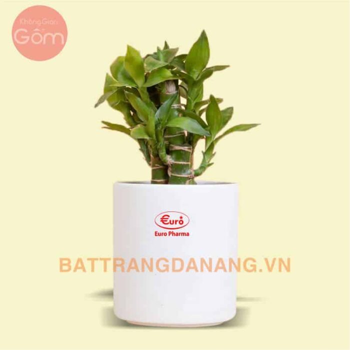 Chậu cây gốm sứ in logo KGG01